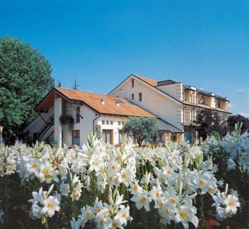 Ca' Delle Rose Hotel Castelfranco Veneto Exterior photo